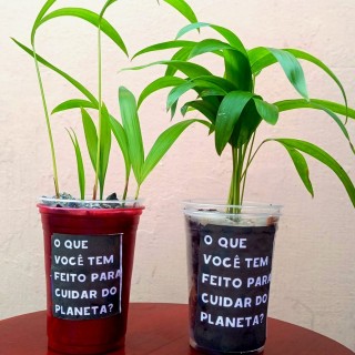 Dia Mundial do Meio Ambiente